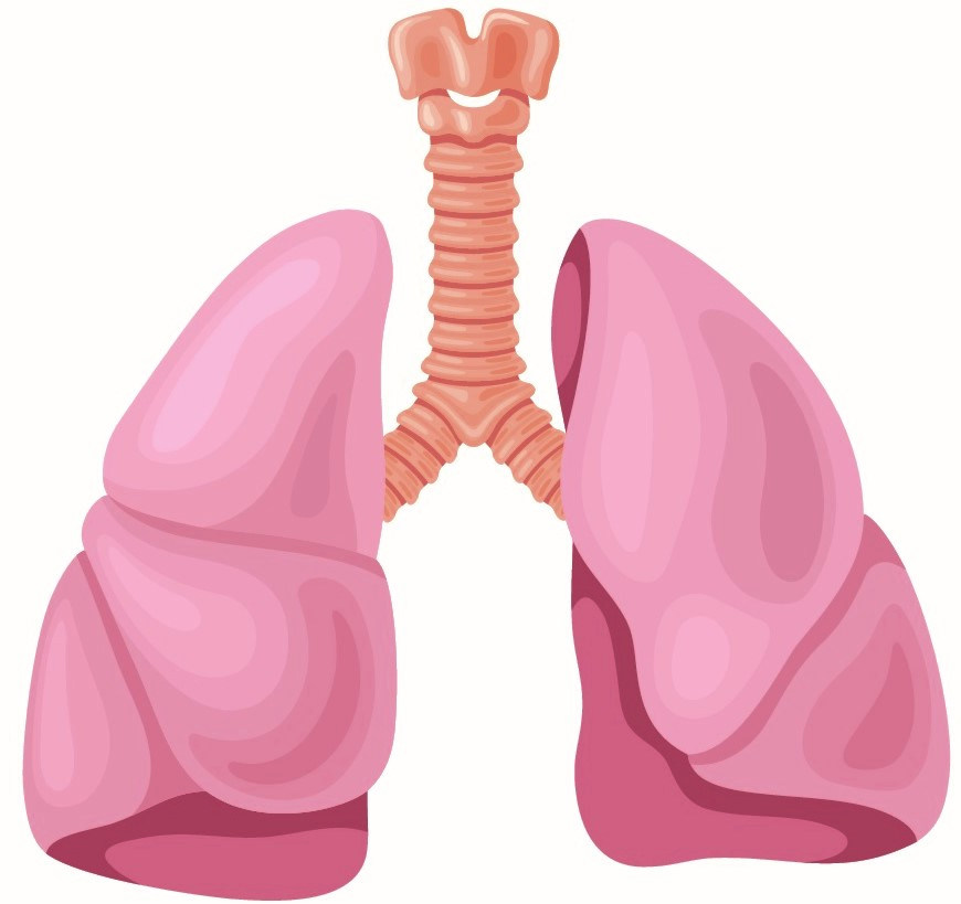 Chronic obstructive pulmonary disease